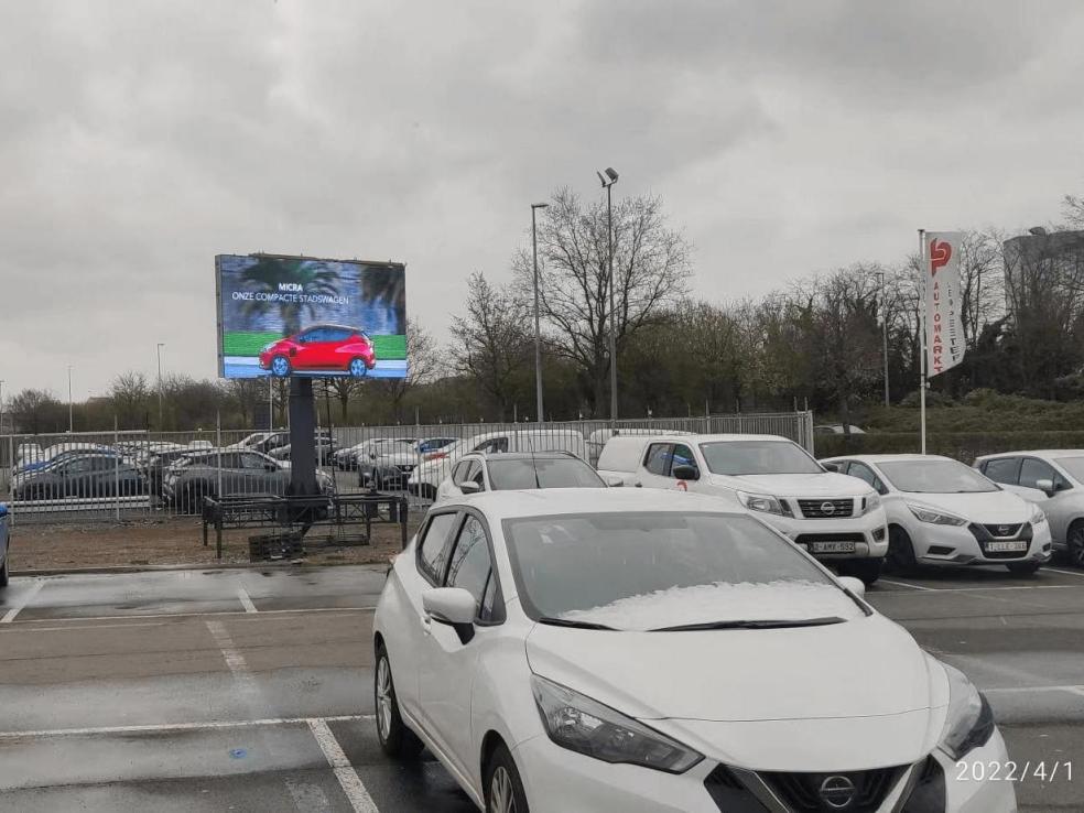 لماذا تشيبشو دائما مشرقة؟
